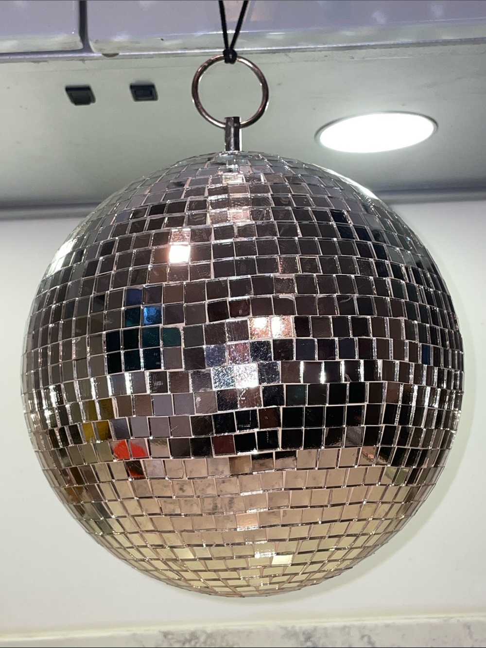 Rachel Zoe Hanging Disco Ball 9” Designer Party Glass Mosaic with Original Tags